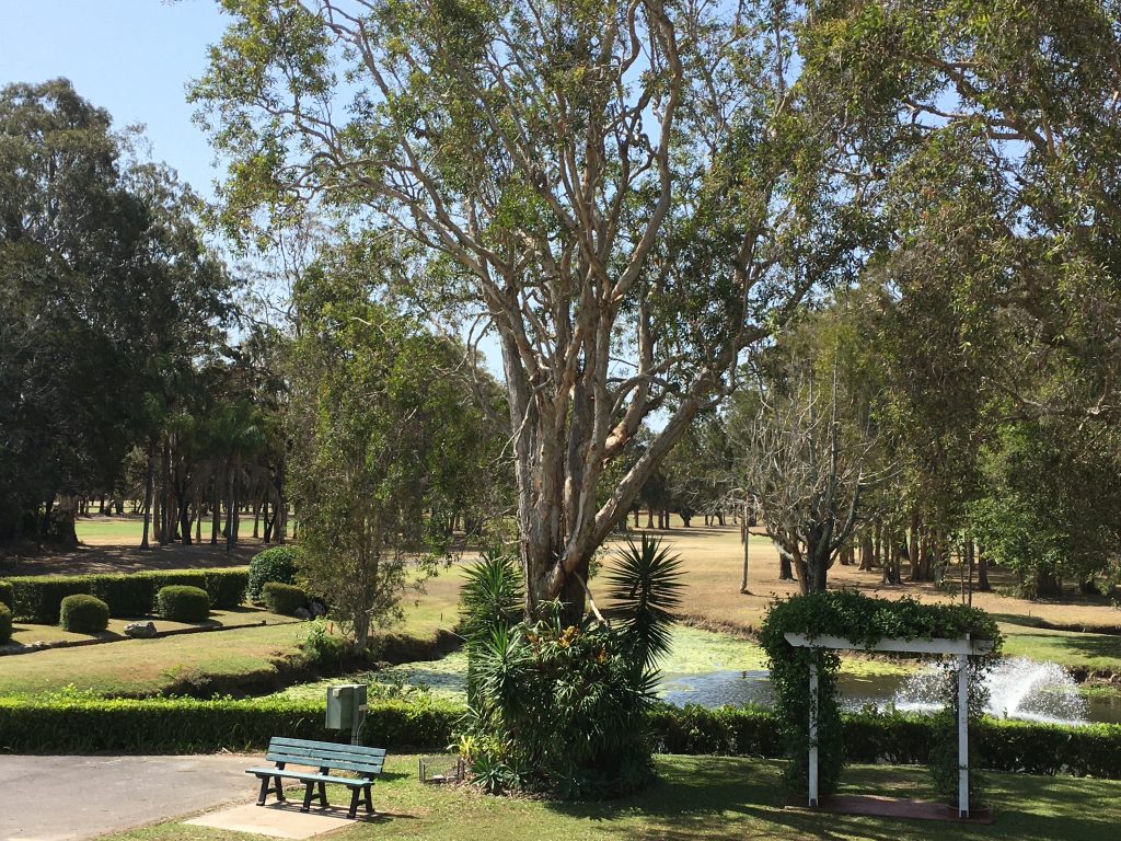 Reflecting in a Park