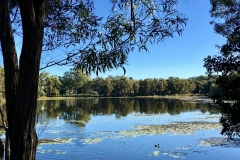 Reflecting on the Dying Process