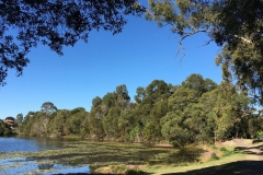 New Year Aspirations