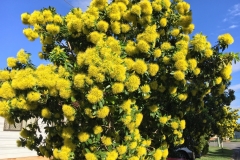 2019-04-29_14-52-39-scaled