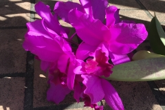 2019-04-30_09-29-00