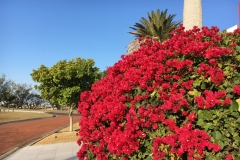 2019-09-15_16-28-41-scaled