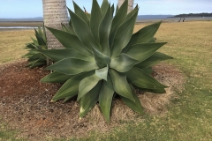 2019-11-24_15-40-41-scaled