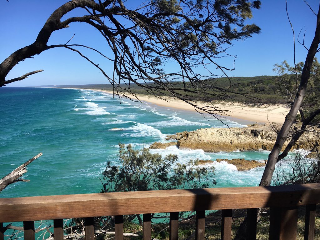 Watching the Ocean Waves